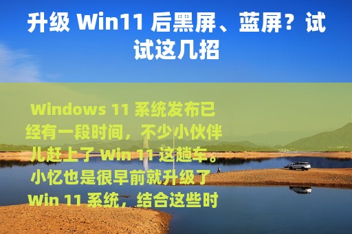 升级 Win11 后黑屏、蓝屏？试试这几招