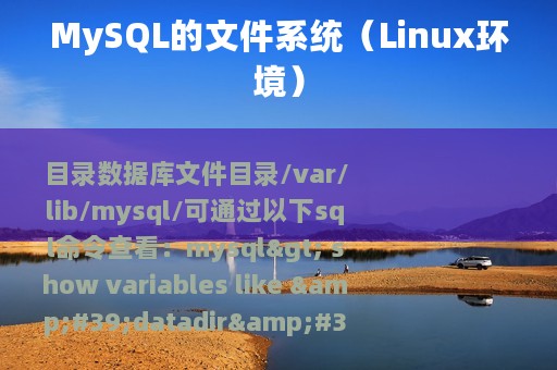 MySQL的文件系统（Linux环境）