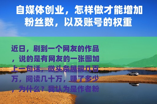 自媒体创业，怎样做才能增加粉丝数，以及账号的权重