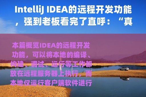 IntelliJ IDEA的远程开发功能，强到老板看完了直呼：“真省钱”