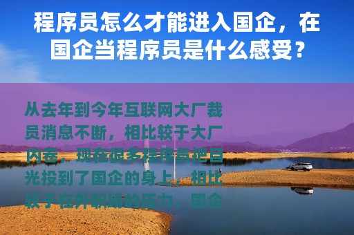 程序员怎么才能进入国企，在国企当程序员是什么感受？