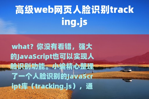高级web网页人脸识别tracking.js