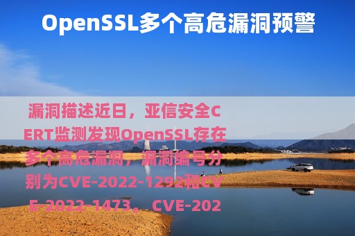 OpenSSL多个高危漏洞预警