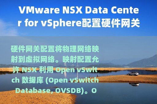 VMware NSX Data Center for vSphere配置硬件网关
