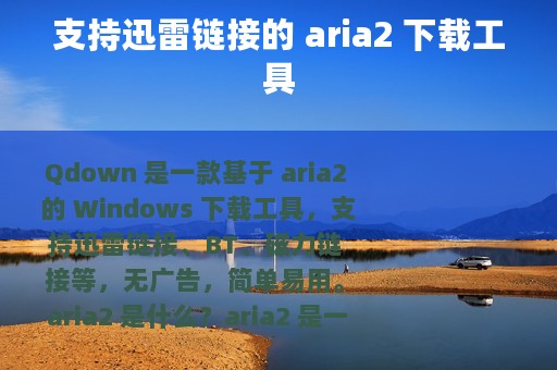 支持迅雷链接的 aria2 下载工具