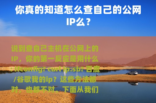 你真的知道怎么查自己的公网IP么？