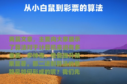 从小白鼠到彩票的算法