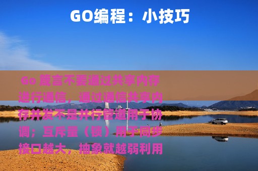 GO编程：小技巧