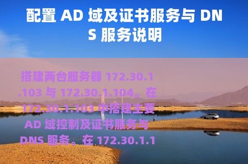 配置 AD 域及证书服务与 DNS 服务说明