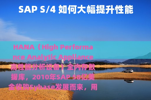 SAP S/4 如何大幅提升性能