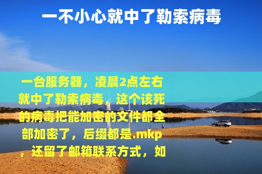 一不小心就中了勒索病毒