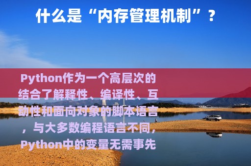 什么是“内存管理机制”？