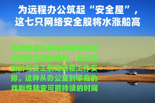 为远程办公筑起“安全屋”，这七只网络安全股将水涨船高？
