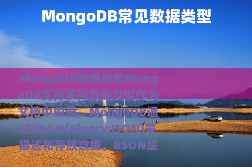 MongoDB常见数据类型