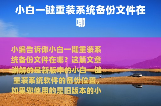 小白一键重装系统备份文件在哪