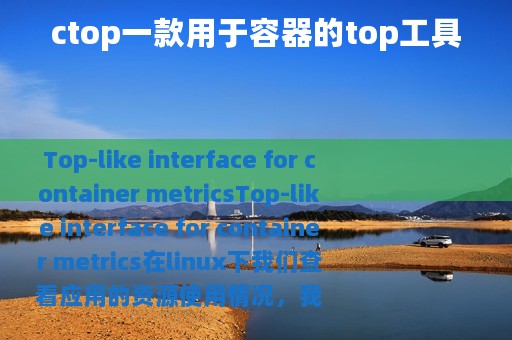 ctop一款用于容器的top工具