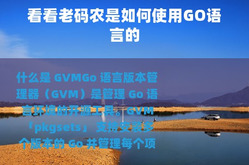 看看老码农是如何使用GO语言的