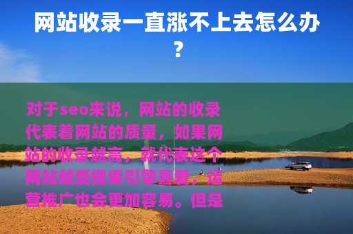 网站收录一直涨不上去怎么办？