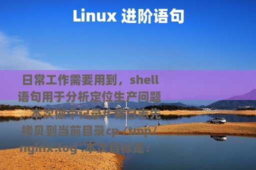 Linux 进阶语句