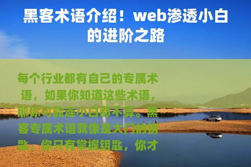 黑客术语介绍！web渗透小白的进阶之路