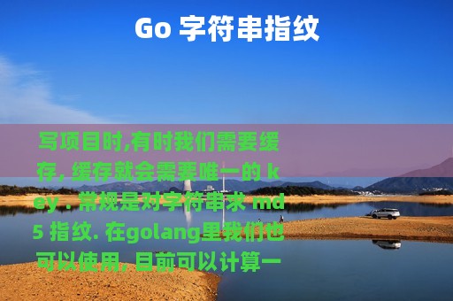 Go 字符串指纹