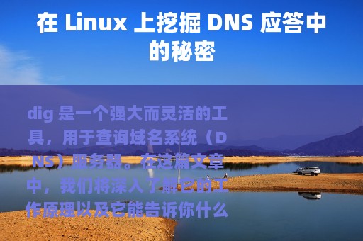 在 Linux 上挖掘 DNS 应答中的秘密