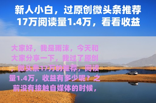 新人小白，过原创微头条推荐17万阅读量1.4万，看看收益怎么样