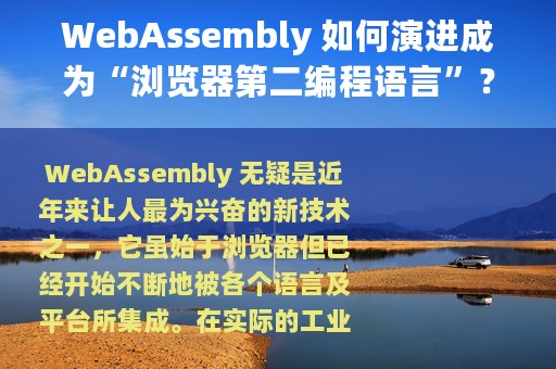 WebAssembly 如何演进成为“浏览器第二编程语言”？