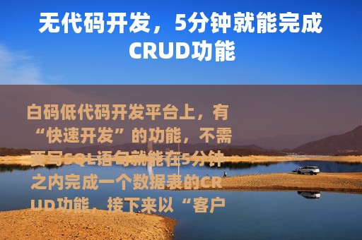 无代码开发，5分钟就能完成CRUD功能