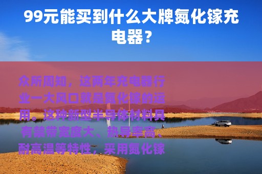99元能买到什么大牌氮化镓充电器？