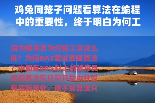 鸡兔同笼子问题看算法在编程中的重要性，终于明白为何工资低了