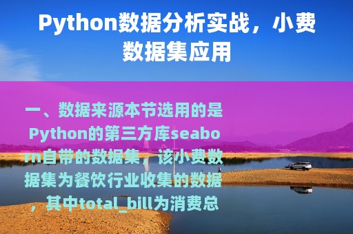 Python数据分析实战，小费数据集应用