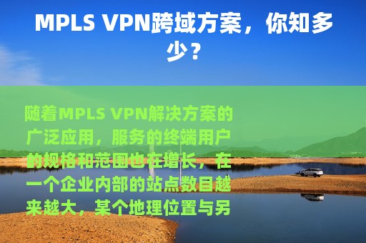 MPLS VPN跨域方案，你知多少？