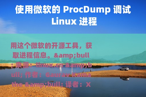 使用微软的 ProcDump 调试 Linux 进程