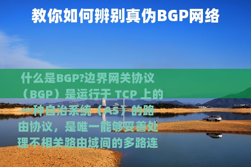 教你如何辨别真伪BGP网络
