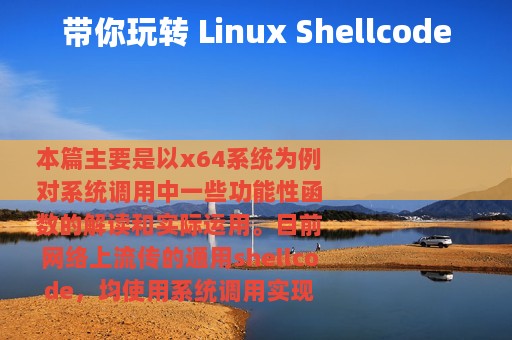 带你玩转 Linux Shellcode