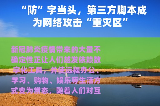 “防”字当头，第三方脚本成为网络攻击“重灾区”