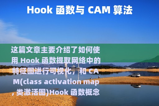 Hook 函数与 CAM 算法