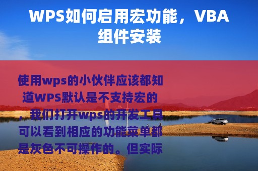 WPS如何启用宏功能，VBA组件安装
