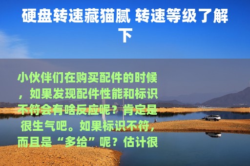 硬盘转速藏猫腻 转速等级了解下