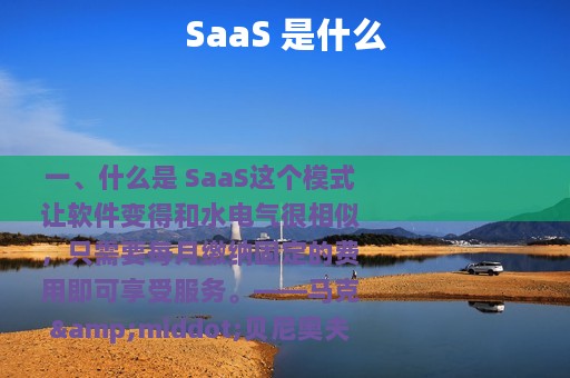 SaaS 是什么