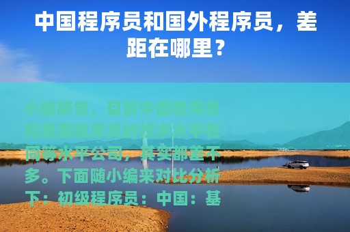 中国程序员和国外程序员，差距在哪里？