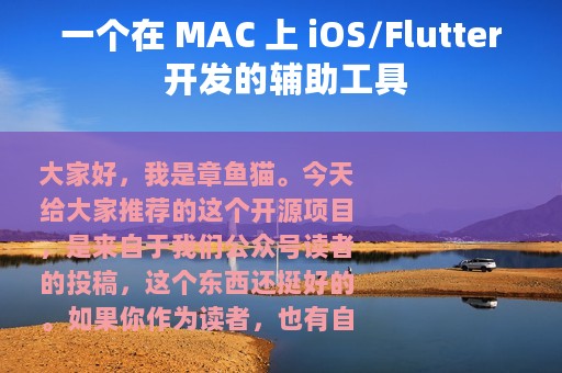 一个在 MAC 上 iOS/Flutter 开发的辅助工具