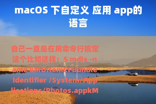 macOS 下自定义 应用 app的语言