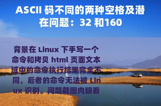 ASCII 码不同的两种空格及潜在问题：32 和160