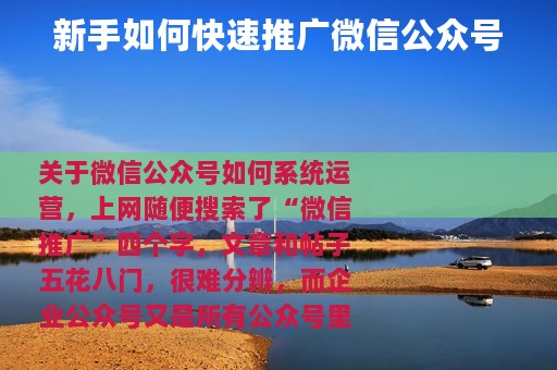 新手如何快速推广微信公众号