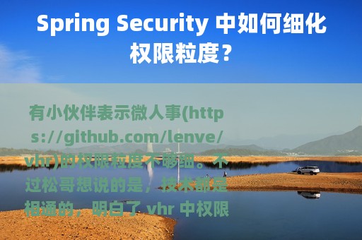 Spring Security 中如何细化权限粒度？