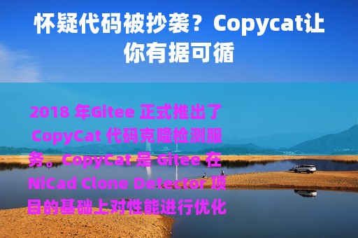 怀疑代码被抄袭？Copycat让你有据可循