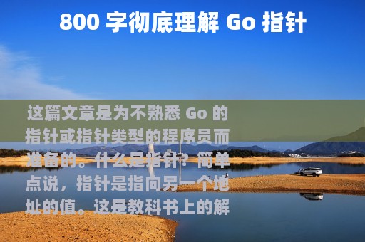 800 字彻底理解 Go 指针