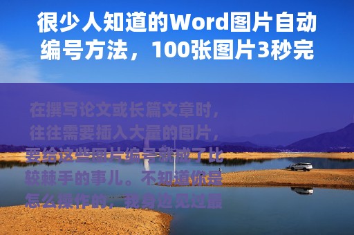 很少人知道的Word图片自动编号方法，100张图片3秒完成